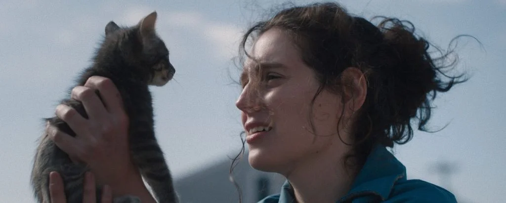 Üzgünüm, Bebeğim